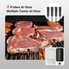 4-Probe Wireless Meat Thermometer Three-Mode WiFi Bluetooth Pre-alarm/Timer BBQ