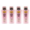 Gliss Shampoo Liquid Silk 400ml PACK OF 4, EAN: 4015000913089