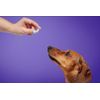 FÜRREE Joint Support Collagen Complex Plus Refill for Dogs - 200 g