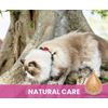 Calming Pet Essential Oil Diffuser