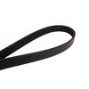 Continental 4060663F 6 Ribs 66.30" Multi-V Belt