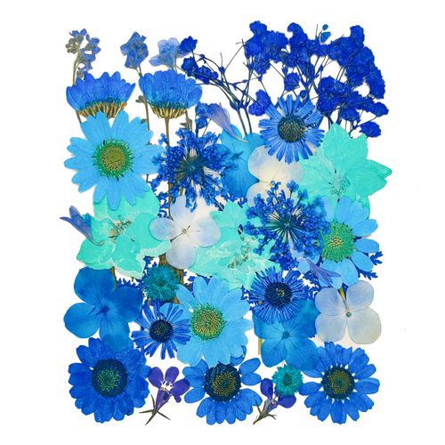 14 Types 37pcs Blue Dried Pressed Flowers for Resin Molds,YouthBro Real Natural Pressed Flowers for DIY Art Crafts,Candle Making, Nails Décor,Soap Making, Phone Case