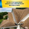 Spray & Forget 1-Quart Hose End Concentrated Roof Cleaner