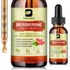 Premium Berberine Supplement Veggie Supplement for Immune Digestion System