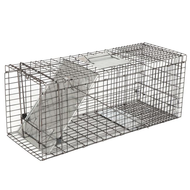  Humane Live Mouse Traps, Iron Mouse Trap Cage Single Door Live  for Indoor Outdoor Small Animal : Patio, Lawn & Garden