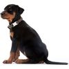 Hunter - Collar Vario Basic aluminum resealable Large neck 40-55 cm gray