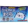 Soft Cool Ice Pillow, Set of 6