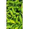 Fresh Shishito Chili Peppers 2 lbs.