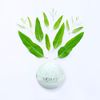 Eucalyptus Luxury Bath Bombs -Set of 10 - Extra Large - 4.5oz