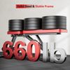 Basic Weight Bench for Home Gym, Foldable Workout Bench with 8 Backrests, 660LBS