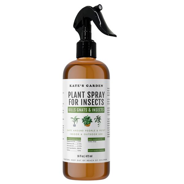 Kate's Garden Plant Spray Bottle for Insects (16oz) Garden Plant Care Peppermint Oil Spray for Bugs, Fruit Flies, Spider Mites. Fungus Gnat Killer for Indoor Plants & Outdoors