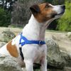 Ultrahund 'Freedom' No-Pull Harness, Medium, Yellow