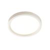 Surface Mount Light Fixture Philips Lighting S5R830K7 Surface Mount Light Fixture