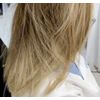 Natural Ash Blonde Toner 010A
