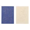 Delphonics Asuka Wakida Notebook A6 (Cream)
