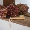 Croll and Denecke Facial Brush with Natural Bristles