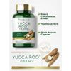Carlyle Yucca Root Capsules 1000mg | 120 Count | Non GMO and Gluten Free Extract