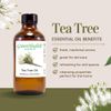 Tea Tree Essential Oil - 16 fl oz (473 ml) Amber Glass Bottle - 100% Pure Essential Oil - GreenHealth