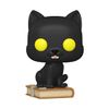 Funko Pop! Hocus Pocus Thackery Binx Cat Exclusive 1247