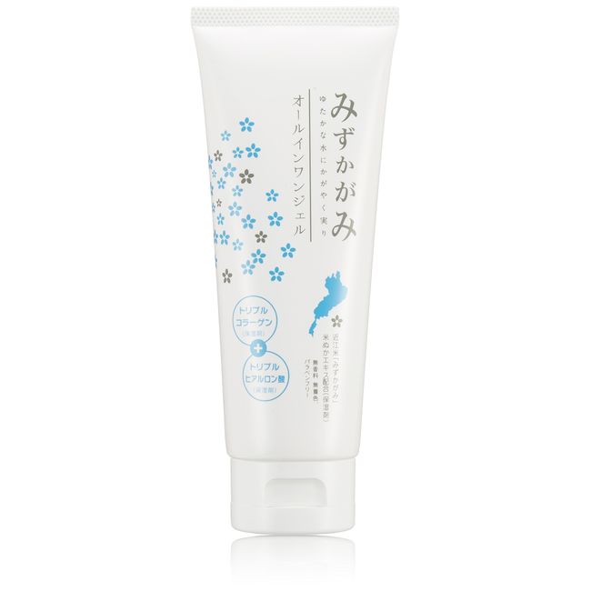 Mizukagami All-in-One Gel