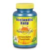 Nature's Life  Icelandic Kelp | 500 ct