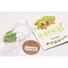 Capsule Q Museum Frog Wallet 2 [1. Schlegel Frog] (Single Item)