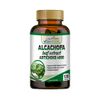 Artichoke 120 capsule extract Capsules Extract Alcachofa weight loss support