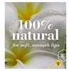 Burt's Bees Pink Grapefruit Lip Balm 4.25g
