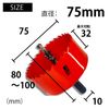Hole Saw with Drill Bit (3.0 inches (75 mm)