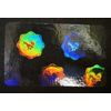 10 Eagle Seal Hologram Self Stick ID Overlays, Thin .05 Mil