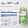 100 Count Bladderwrack Seaweed Herbal Supplement for Thyroid Support