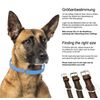 Schnüffelfreunde Leather Dog Collar (L - 36-45cm, Brown)