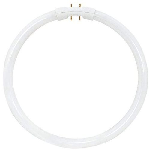 Satco S8163 4100K 55-Watt 2GX13 T5 Circline High Performance Lamp, Cool White