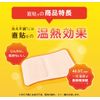 Hisamitsu Pharmaceutical Heat Tools Direct Application Medium (For Waist and Back), 8 Sheets