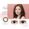 Feliamo One Day Color: Chestnut (PWR) -5.50, 10 Sheets, 2 Boxes