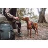 EZYDOG Express Harness S Black