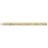 Sunstar Stationery Pom Pom Pudding, Hexagonal Eraser, Long Eraser, Beige, Pop Rush, Vol. 4
