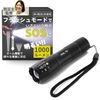 JOAMO Flashlight, LED Light, Disaster Preparedness Light, Flash Function, Small Model Easy to Put In Disaster Prevention Backpacks, (1)