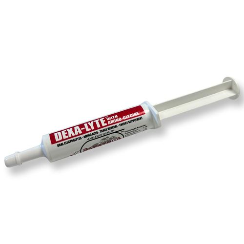 Dexa-Lyte - Premium Electrolyte & Amino Acid Energy Boost for Horses. Rapid Replenishment of Lost Minerals from Exercise, Dehydration and Extreme Weather. Easy to Administer Syringe.