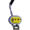Dorman 901-156 Liftgate Release Switch Compatible with Select Cadillac / Chevrolet / GMC Models