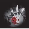 Zwilling 12733-003 Hanseatic Menu Spoon Tableware, Cutlery, Dinner Spoon