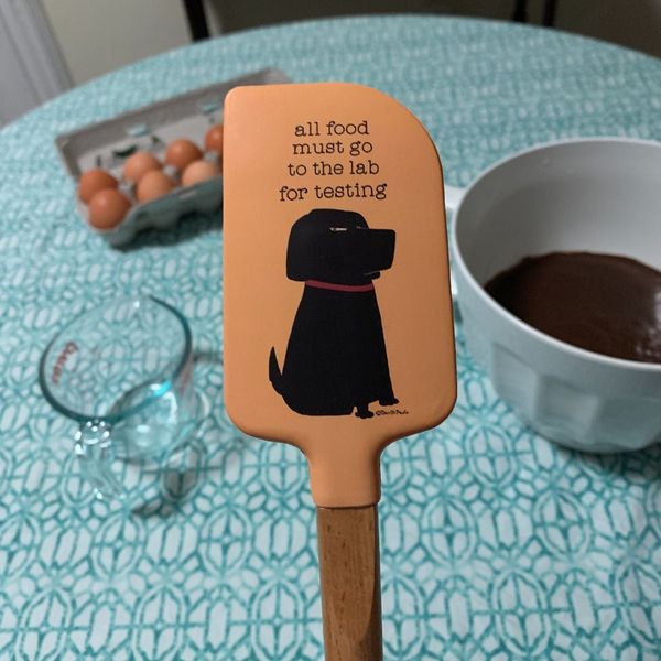 All Food to the Lab For Testing Dog Lover Spatula | Wooden Handle Double-Sided Silicone Spatula