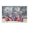 Wheely Bug Ride On Toy Ladybird Large