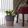 Household Essentials ML-6620 Cattail and Paper Waste Basket