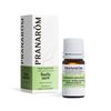 Pranarom Basil (Holy Basil) 0.2 fl oz (5 ml) (PRANAROM Chemo Type Essential Oil)