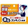 【第3類医薬品】塗るズッキノン 15g ×4