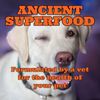 Turmeric Golden Paste - Pets