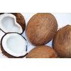 Fresh Coconuts (Set Of 3)