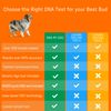 Dna My Dog Premium Test – Premium Breed ID Over 350 Breeds Plus Genetic Age Test, Wolf/Coyote DNA and Mixed Breed Identification, Non-Invasive Cheek Swab for Puppies to Adult Dogs