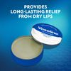 vaseline terapia labbra originale